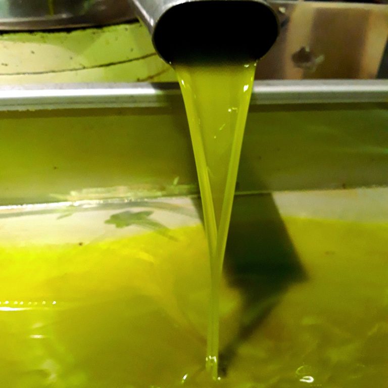 Kaltextraktion, $27^\circ\text{C}$, Polyphenole Die moderne Kaltextraktion unter 27 Grad bewahrt wertvolle Inhaltsstoffe und Aromen (Polyphenole). Das Ergebnis: ein fruchtiges,